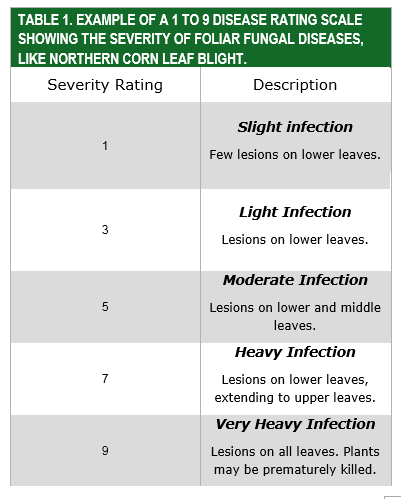 Example of a 1 to 9 disease rating scale showing the severity of foliar disease 