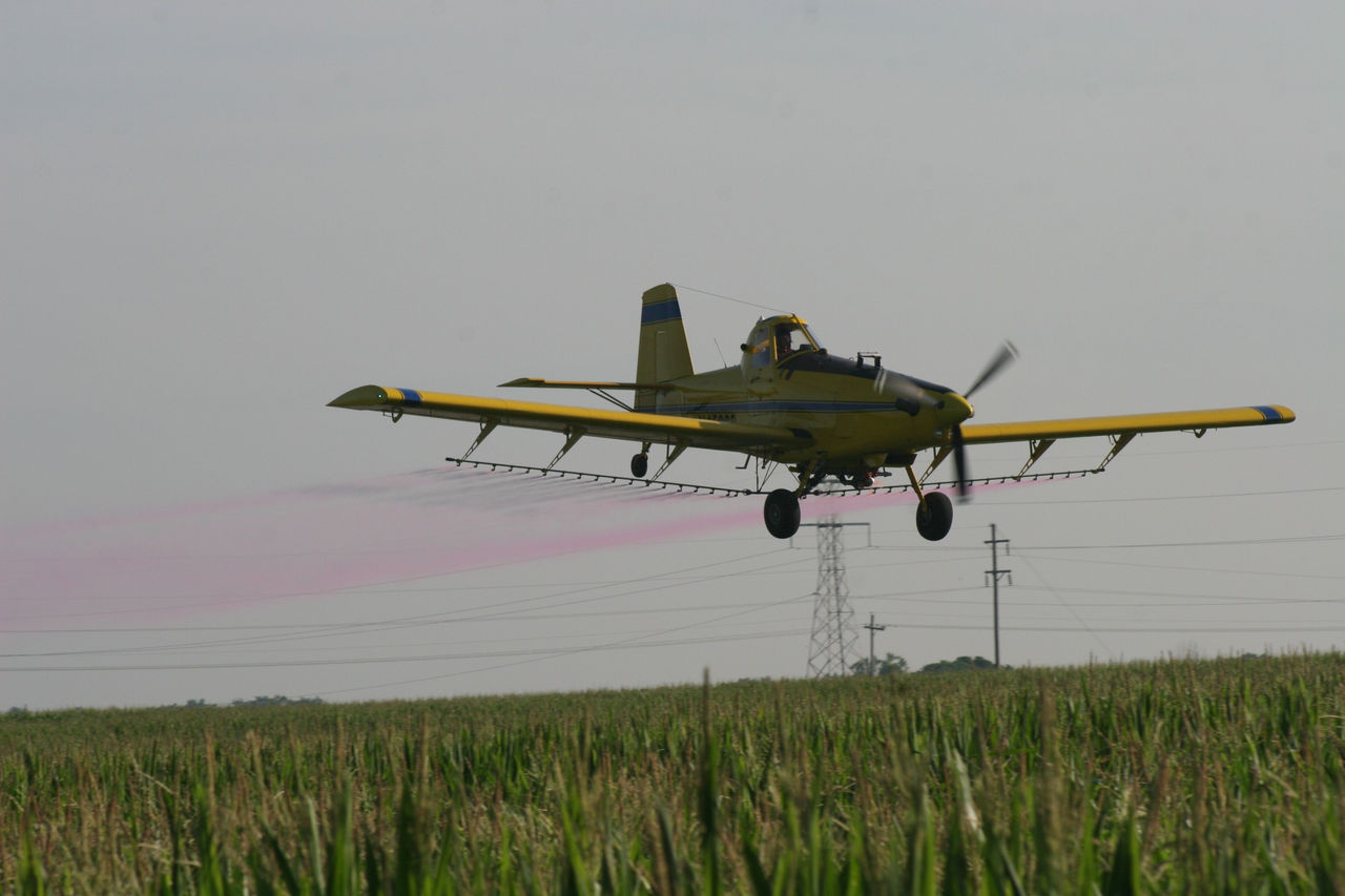 Figure 2. A properly timed fungicide application in corn can help protect yield potential. 