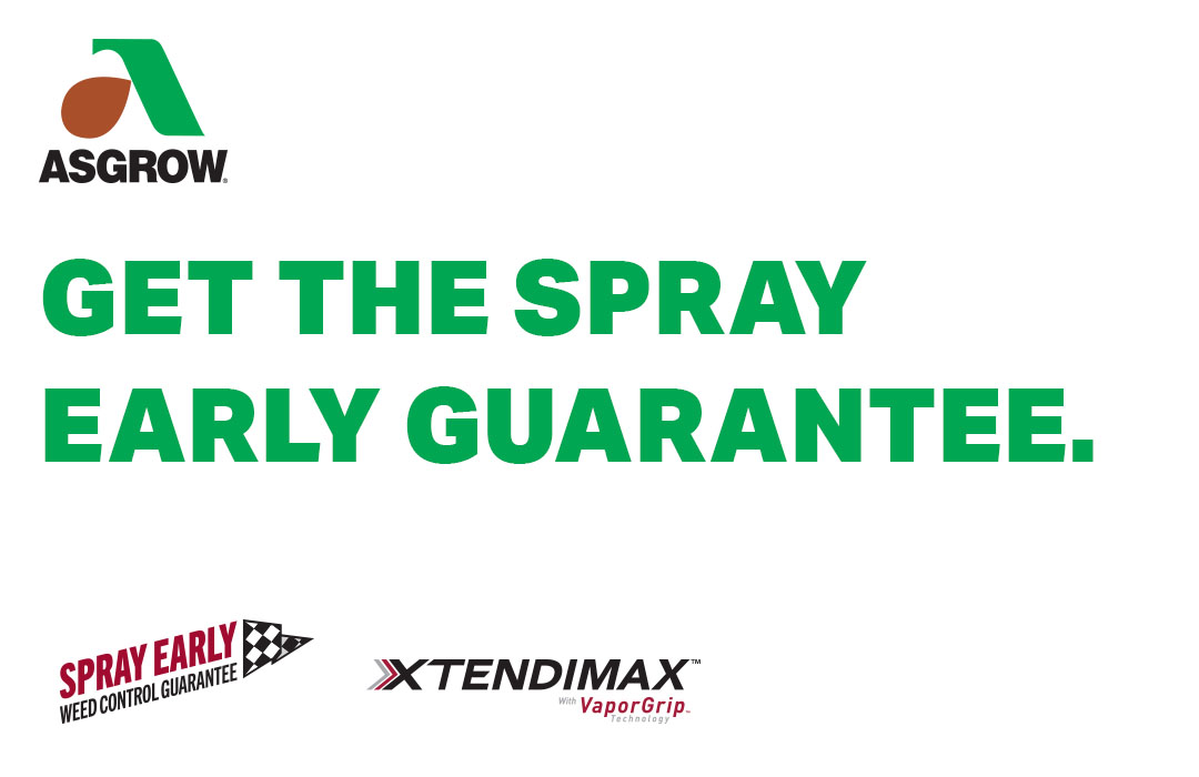 spray early