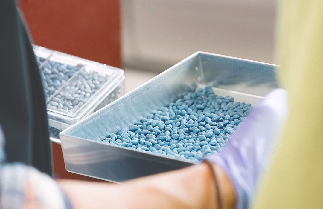 Deltapine® Pipeline treated seeds
