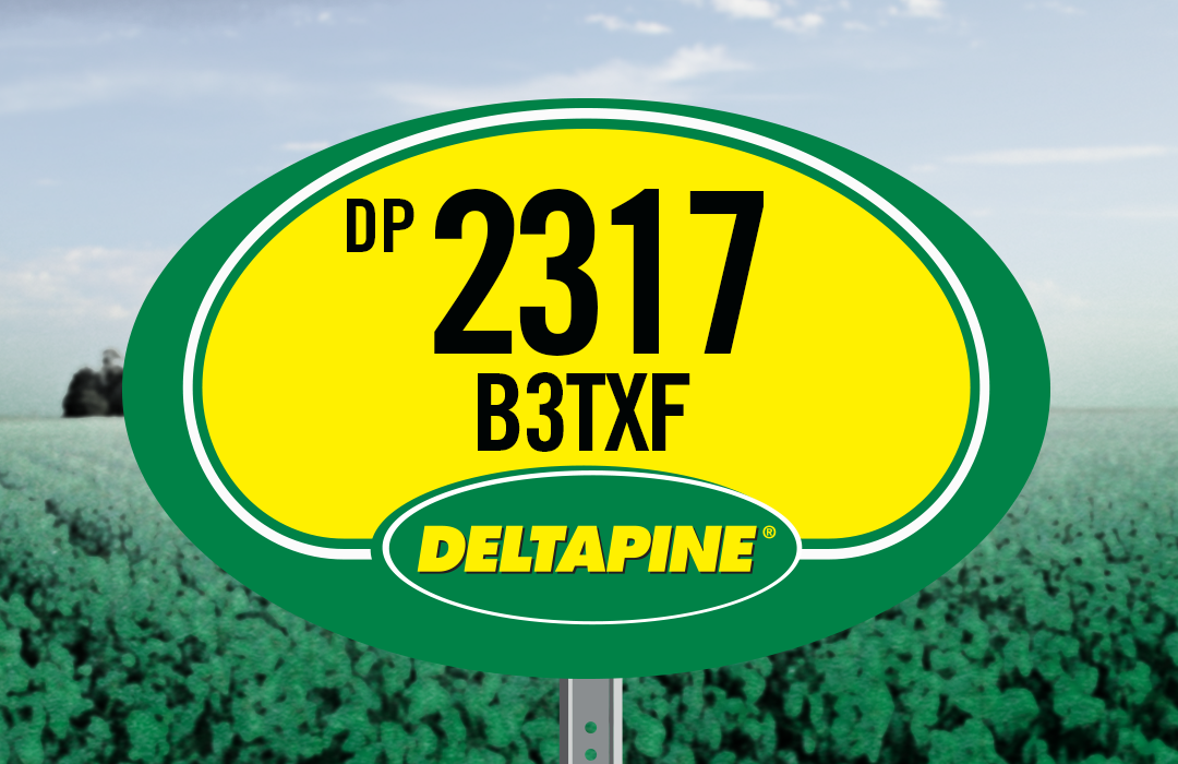 DP 2317 B3TXF