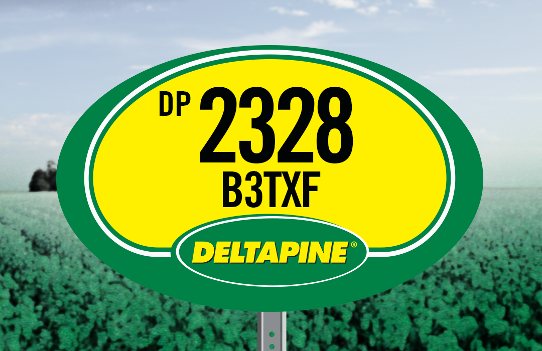 DP 2328 B3TXF