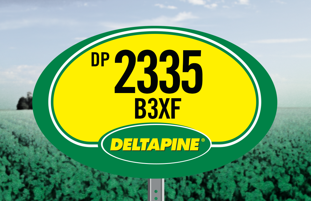 DP 2335 B3XF