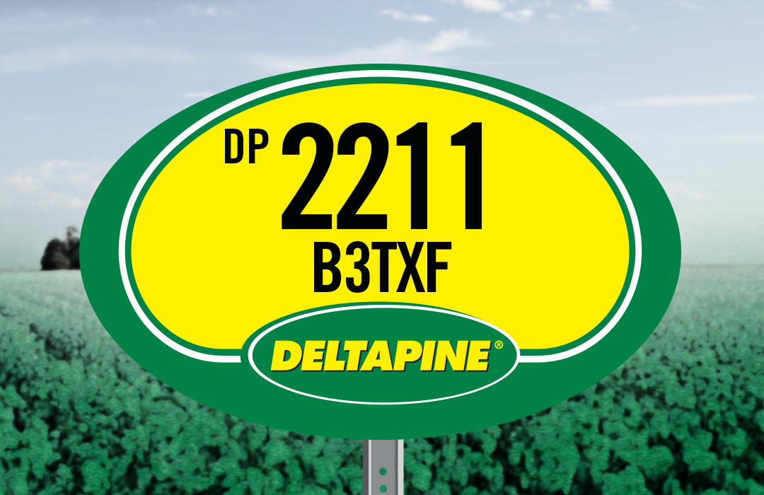 DP 2211 B3TXF