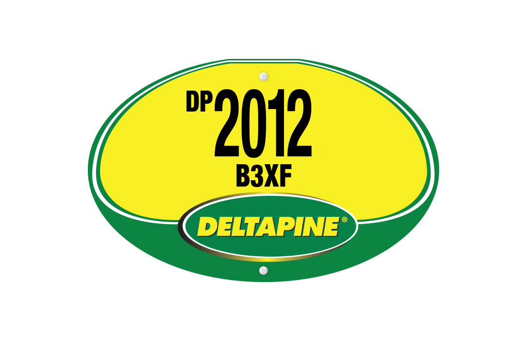 DP 2012 B3XF