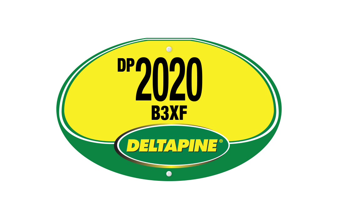 DP 2020 B3XF