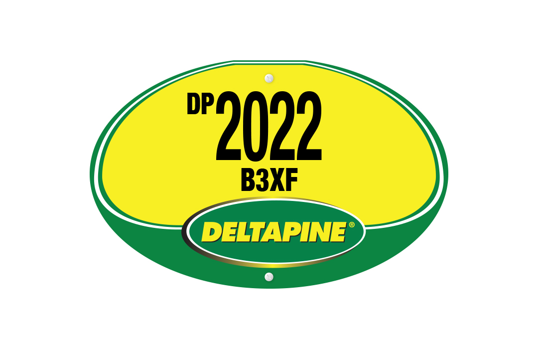 DP 2022 B3XF