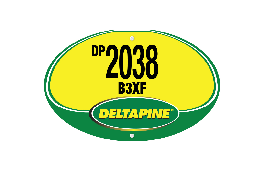 DP 2038 B3XF