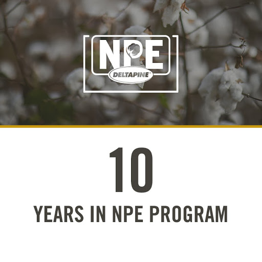 10 years in NPE Program