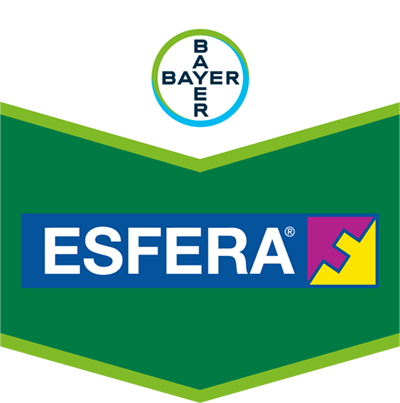 Esfera®