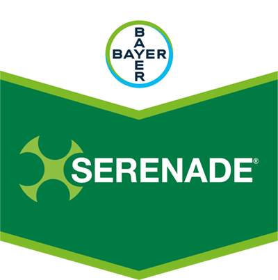 Serenade®