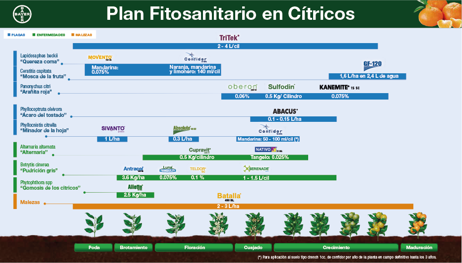 Fenología Arroz