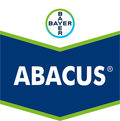 Abacus®