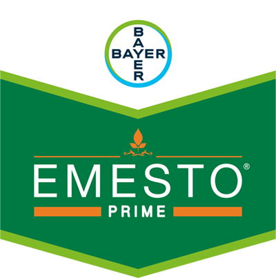 Emesto® Prime