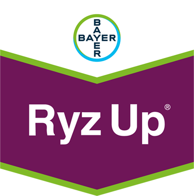 Ryz Up