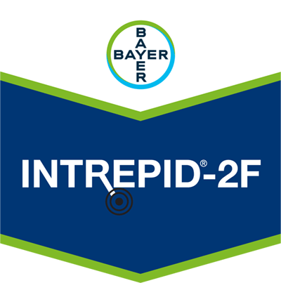 Intrepid®