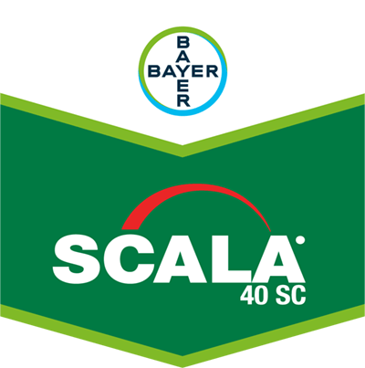 Scala® 40 SC